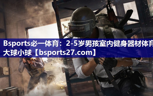 Bsports必一体育：2-5岁男孩室内健身器材体育大球小球