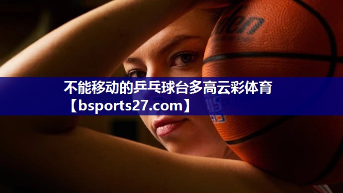 不能移动的乒乓球台多高云彩体育