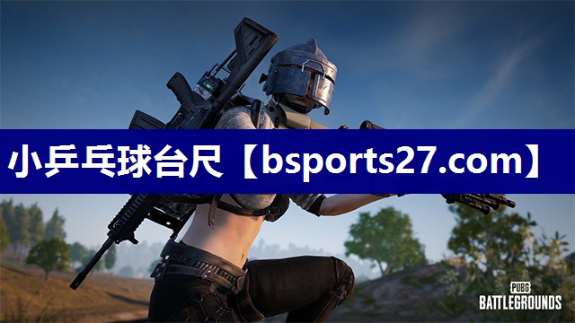 小乒乓球台尺 小乒乓球台尺