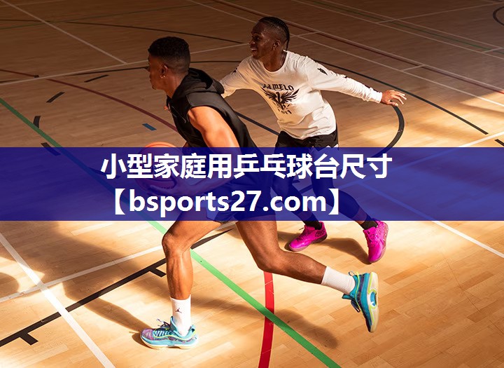 小型家庭用乒乓球台尺寸 小型家庭用乒乓球台尺寸